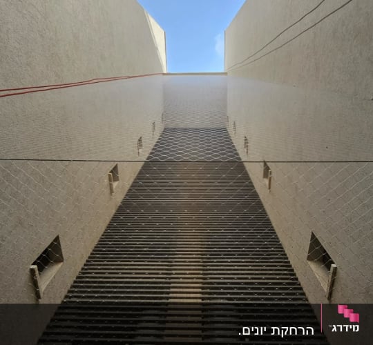 רשת למניעת כניסת יונים בין קירות בניין